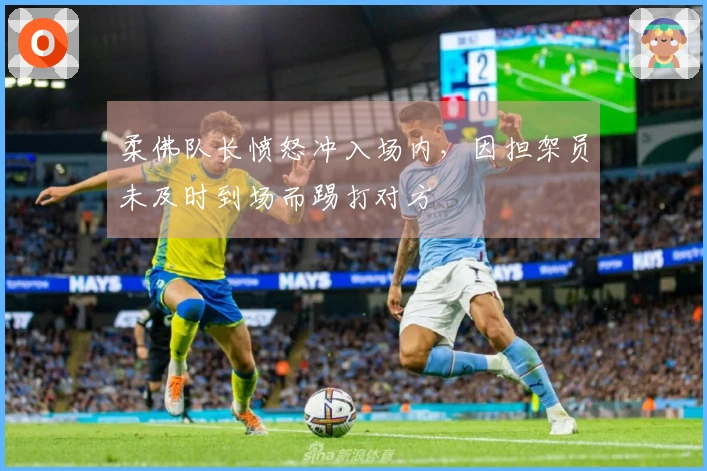 柔佛队长愤怒冲入场内，因担架员未及时到场而踢打对方