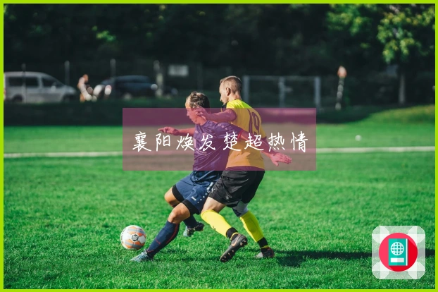 襄阳焕发楚超热情