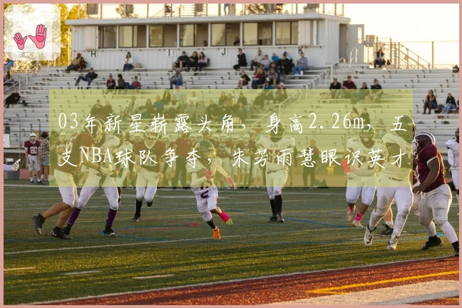 03年新星崭露头角，身高2.26m，五支NBA球队争夺，朱芳雨慧眼识英才